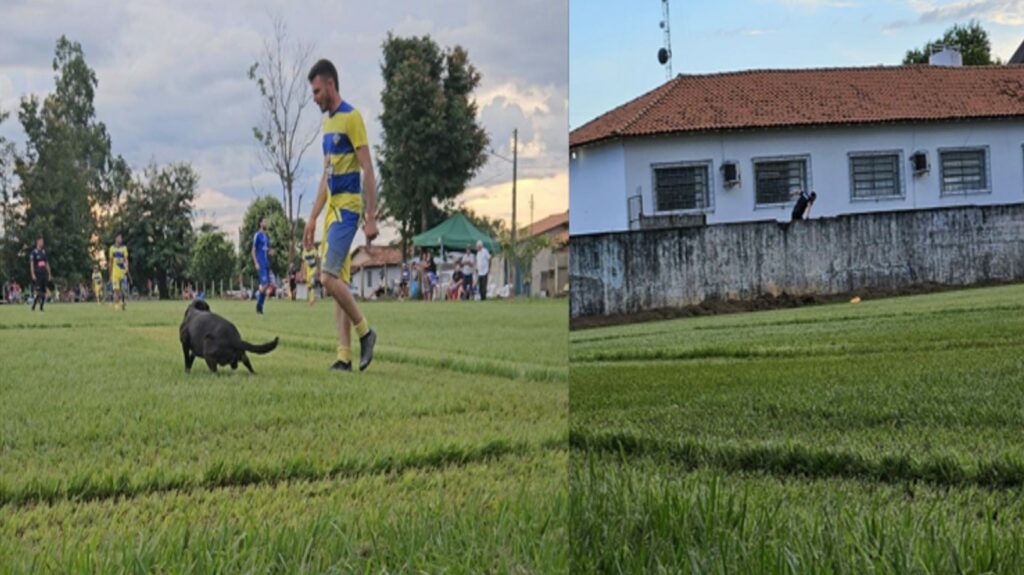 Duas fotos do gramado, na primeira temos um cachorro preto fazendo cocô próximo ao jogador do Xixazão de amarelo e na segunda imagem temos o bandeira do jogo pulando o muro para pegar a bola que caiu do outro lado